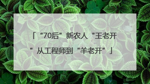 “70后”新农人“王老开”从工程师到“羊老开”
