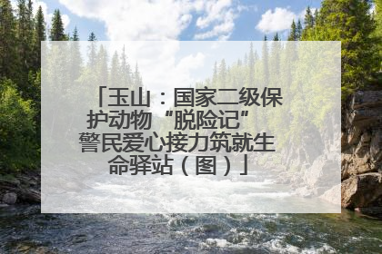 玉山：国家二级保护动物“脱险记” 警民爱心接力筑就生命驿站（图）