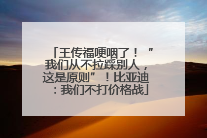 王传福哽咽了！“我们从不拉踩别人，这是原则”！比亚迪：我们不打价格战