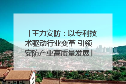 王力安防：以专利技术驱动行业变革 引领安防产业高质量发展