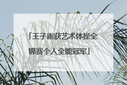 王子露获艺术体操全锦赛个人全能冠军