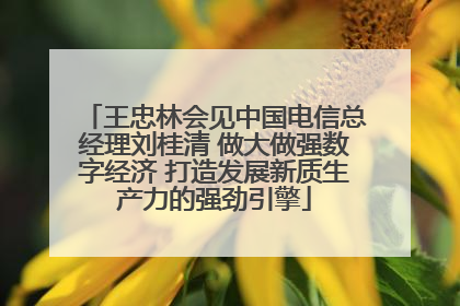 王忠林会见中国电信总经理刘桂清 做大做强数字经济 打造发展新质生产力的强劲引擎