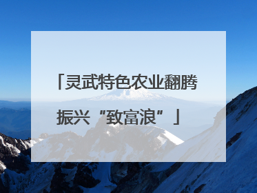 灵武特色农业翻腾振兴“致富浪”
