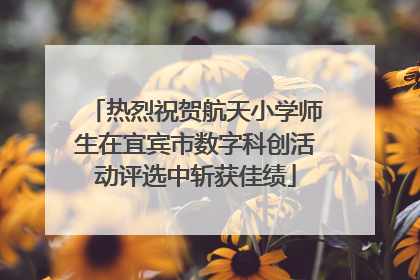热烈祝贺航天小学师生在宜宾市数字科创活动评选中斩获佳绩