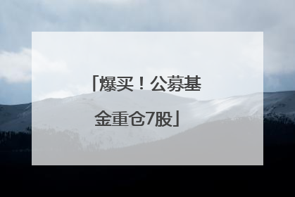 爆买！公募基金重仓7股