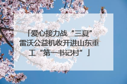 爱心接力战“三夏” 雷沃公益机收开进山东重工“第一书记村”