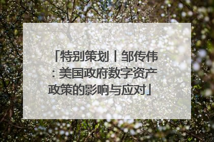 特别策划丨邹传伟：美国政府数字资产政策的影响与应对