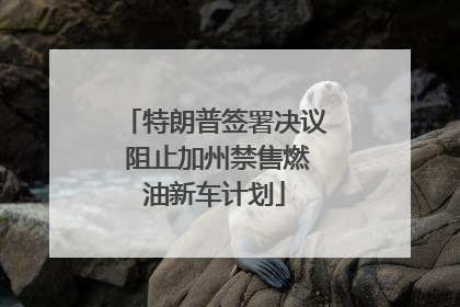 特朗普签署决议 阻止加州禁售燃油新车计划
