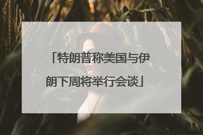 特朗普称美国与伊朗下周将举行会谈