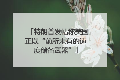 特朗普发帖称美国正以“前所未有的速度储备武器”