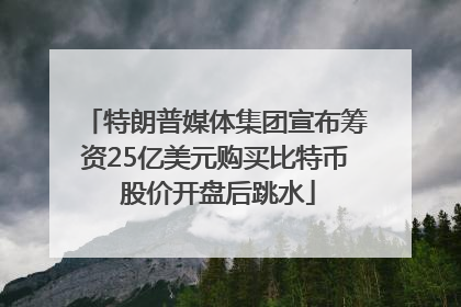 特朗普媒体集团宣布筹资25亿美元购买比特币 股价开盘后跳水