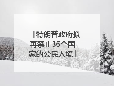 特朗普政府拟再禁止36个国家的公民入境