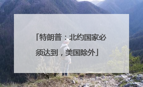 特朗普：北约国家必须达到，美国除外