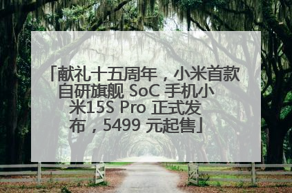 献礼十五周年，小米首款自研旗舰 SoC 手机小米15S Pro 正式发布，5499 元起售