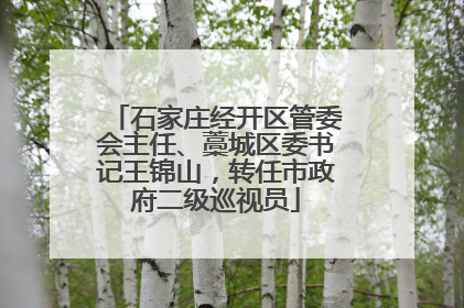 石家庄经开区管委会主任、藁城区委书记王锦山，转任市政府二级巡视员