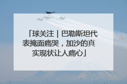 球关注｜巴勒斯坦代表掩面痛哭，加沙的真实现状让人痛心