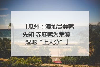 瓜州：湿地景美鸭先知 赤麻鸭为荒漠湿地“上大分”