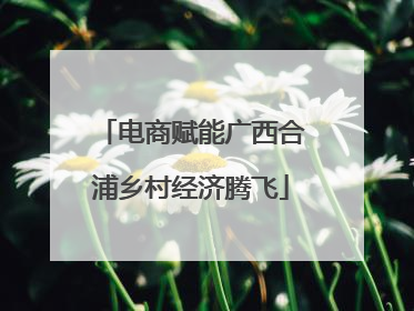 电商赋能广西合浦乡村经济腾飞