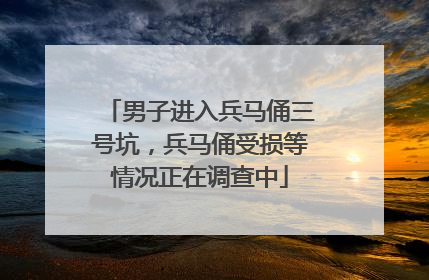 男子进入兵马俑三号坑，兵马俑受损等情况正在调查中