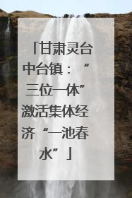 甘肃灵台中台镇：“三位一体”激活集体经济“一池春水”