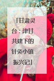 甘肃灵台：津甘共建下的针灸小镇振兴记