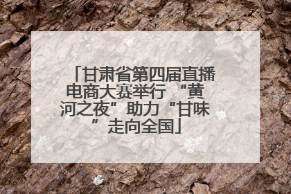 甘肃省第四届直播电商大赛举行 “黄河之夜”助力“甘味”走向全国
