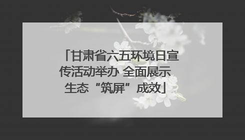 甘肃省六五环境日宣传活动举办 全面展示生态“筑屏”成效