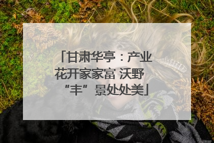 甘肃华亭：产业花开家家富 沃野“丰”景处处美