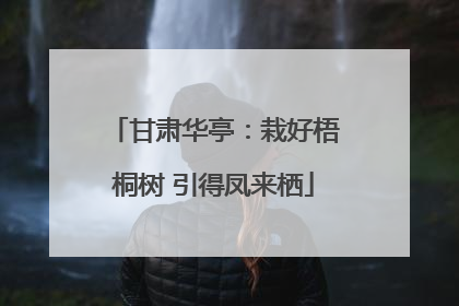 甘肃华亭：栽好梧桐树 引得凤来栖
