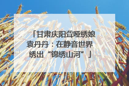 甘肃庆阳聋哑绣娘袁丹丹：在静音世界绣出“锦绣山河”