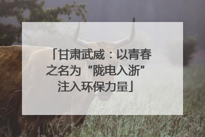 甘肃武威：以青春之名为“陇电入浙”注入环保力量