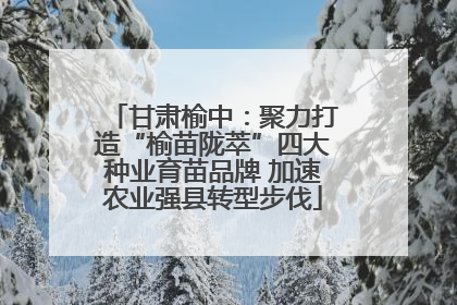 甘肃榆中：聚力打造“榆苗陇萃”四大种业育苗品牌 加速农业强县转型步伐