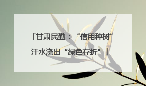 甘肃民勤：“信用种树” 汗水浇出“绿色存折”