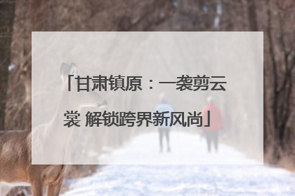 甘肃镇原：一袭剪云裳 解锁跨界新风尚