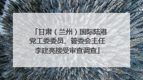 甘肃（兰州）国际陆港党工委委员、管委会主任李建亮接受审查调查
