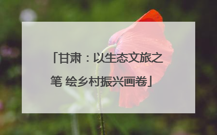 甘肃：以生态文旅之笔 绘乡村振兴画卷