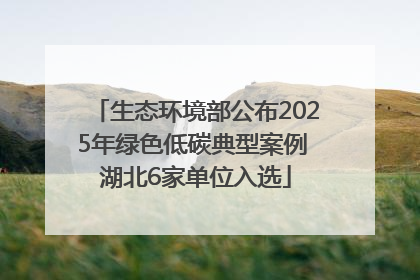 生态环境部公布2025年绿色低碳典型案例 湖北6家单位入选