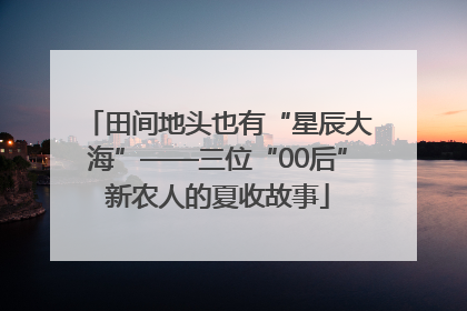 田间地头也有“星辰大海”——三位“00后”新农人的夏收故事