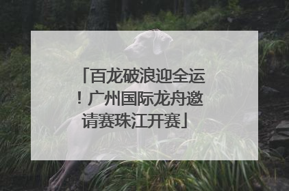 百龙破浪迎全运！广州国际龙舟邀请赛珠江开赛