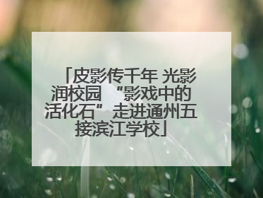 皮影传千年 光影润校园 “影戏中的活化石”走进通州五接滨江学校