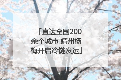 直达全国200余个城市 靖州杨梅开启冷链发运