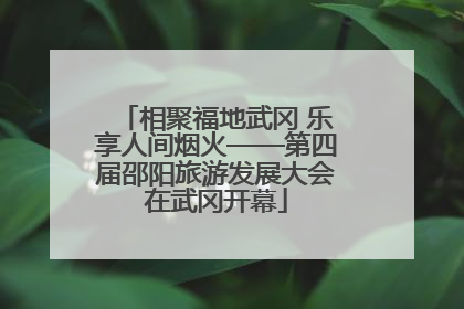 相聚福地武冈 乐享人间烟火——第四届邵阳旅游发展大会在武冈开幕