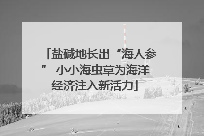 盐碱地长出“海人参” 小小海虫草为海洋经济注入新活力