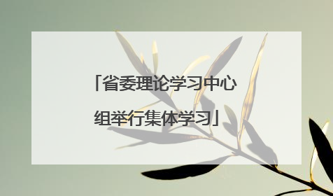 省委理论学习中心组举行集体学习