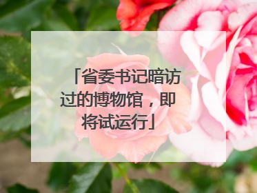 省委书记暗访过的博物馆，即将试运行