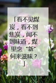 看不见煤炭，看不到焦炭，闻不到味道，煤里烹“新”何来滋味？