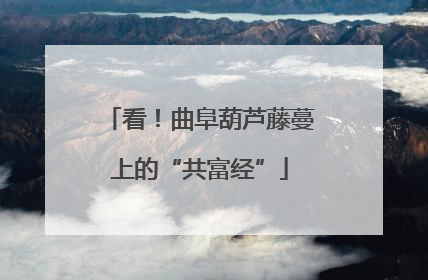 看！曲阜葫芦藤蔓上的“共富经”