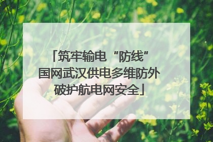 筑牢输电“防线” 国网武汉供电多维防外破护航电网安全