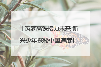 筑梦高铁接力未来 新兴少年探秘中国速度