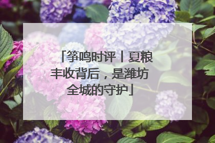 筝鸣时评丨夏粮丰收背后，是潍坊全城的守护